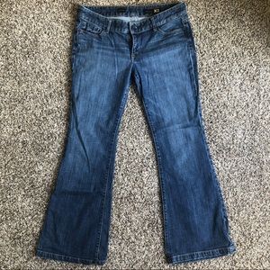 Express Fit and Flare Jeans